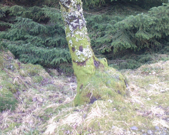 blamanen_fjell